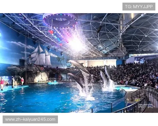 滨海国际海洋公园丰富游客体验打造国内一流的海洋主题乐园